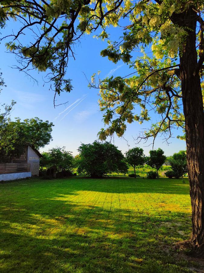 Ethno&Coffee House Tulip Bed & Breakfast Glozan Exterior photo
