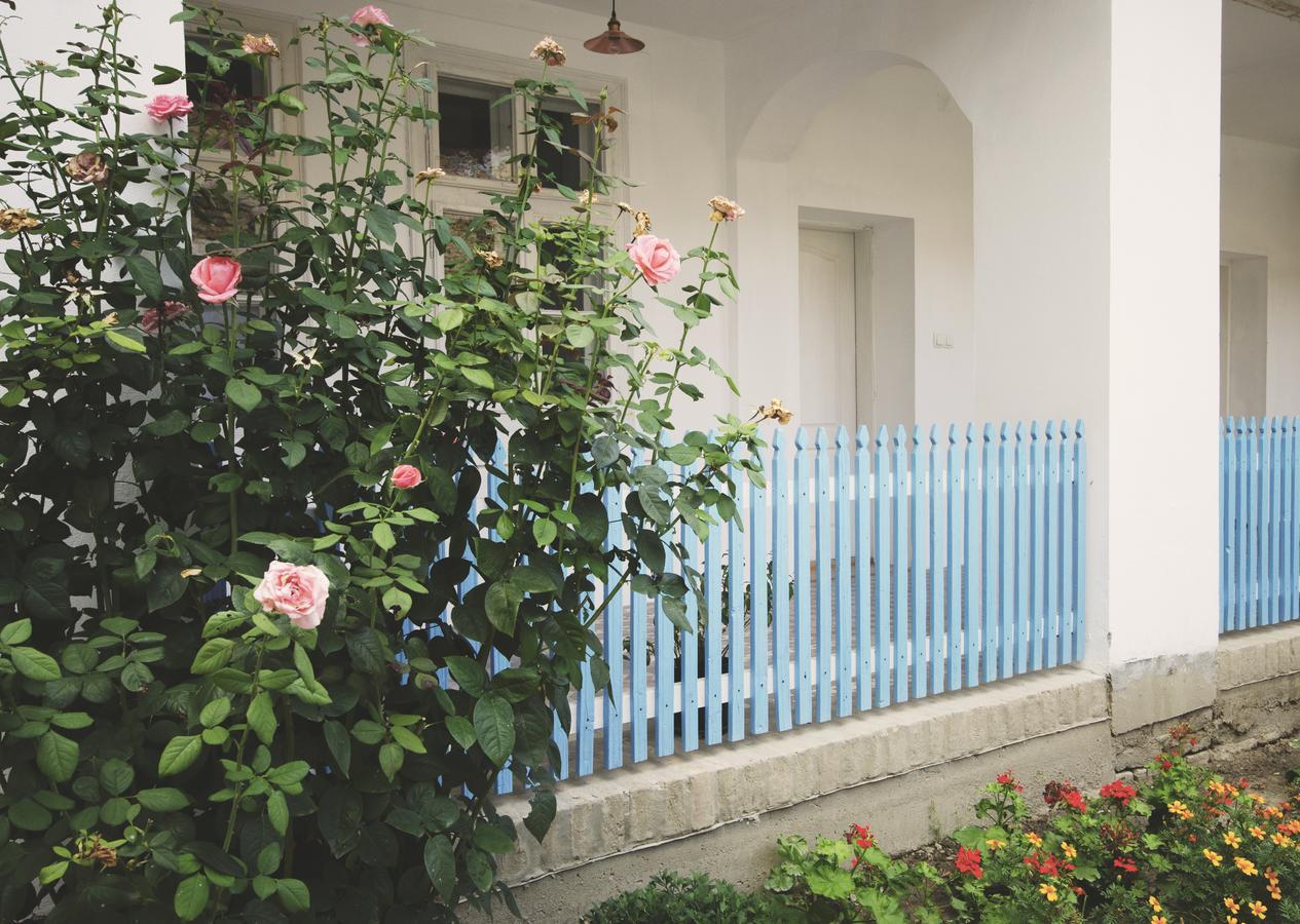 Ethno&Coffee House Tulip Bed & Breakfast Glozan Exterior photo